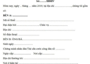 Hợp đồng thực tập, cần không